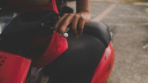 ¿Cómo tratar los problemas de piel en los gatos?